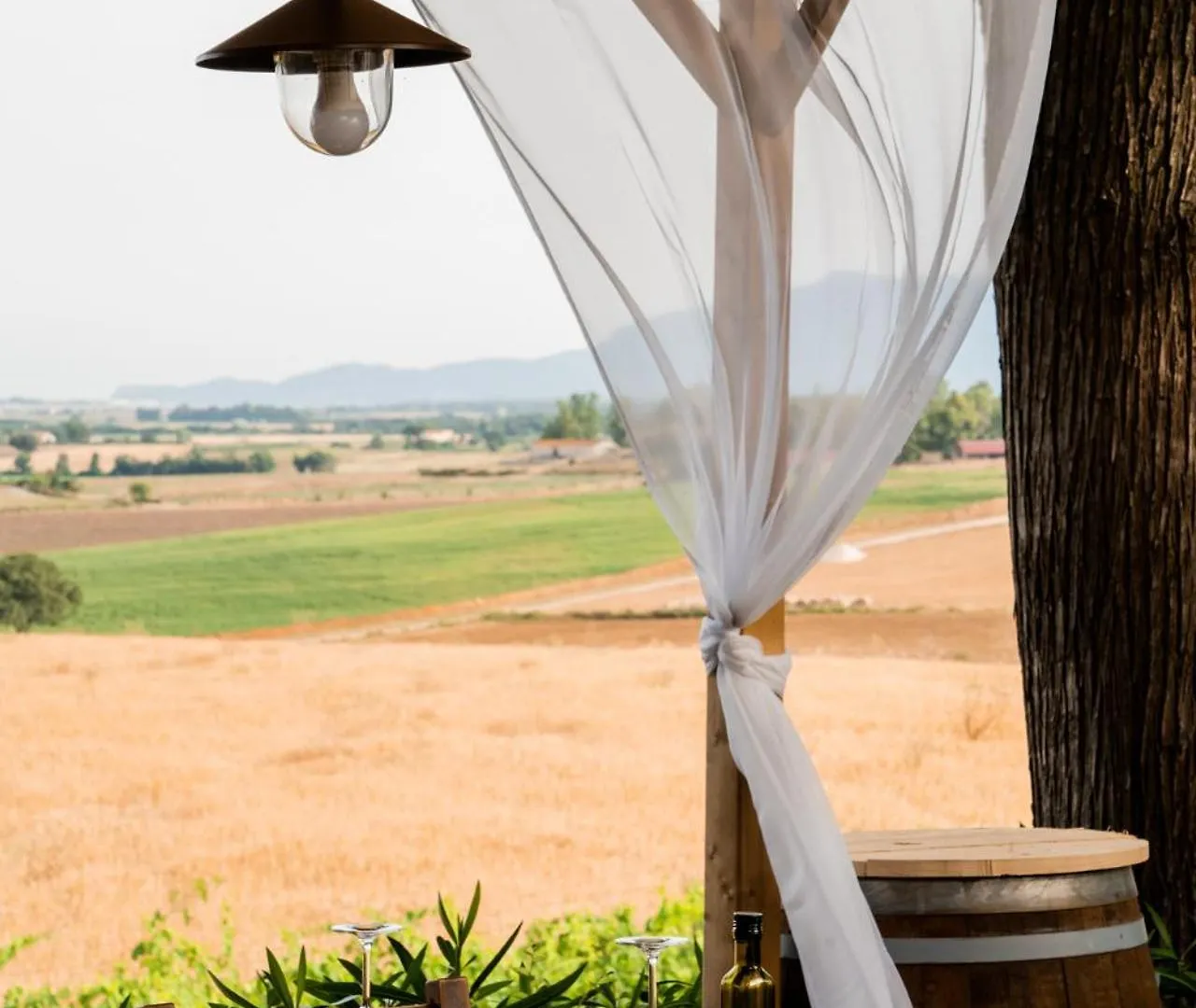 Agriturismo Rascioni & Cecconello Fonteblanda Farm stay